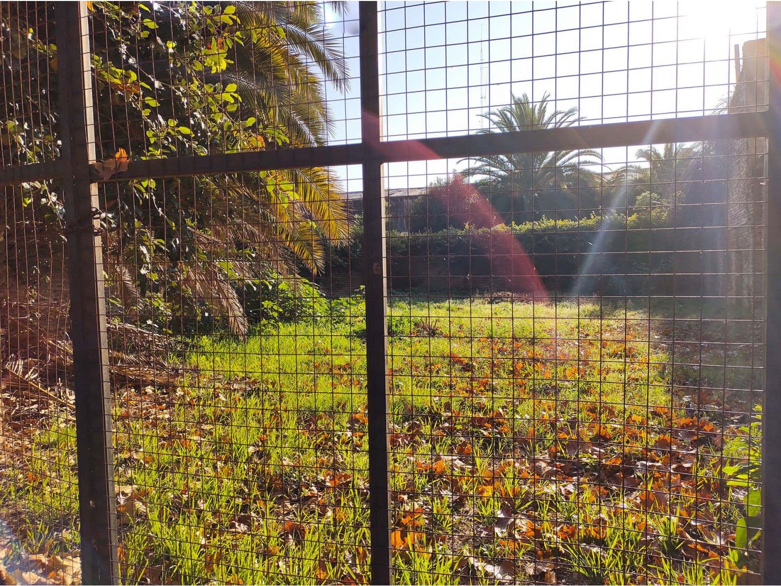 TERRENO CON PROYECTO APROBADO - San Pedro - 1