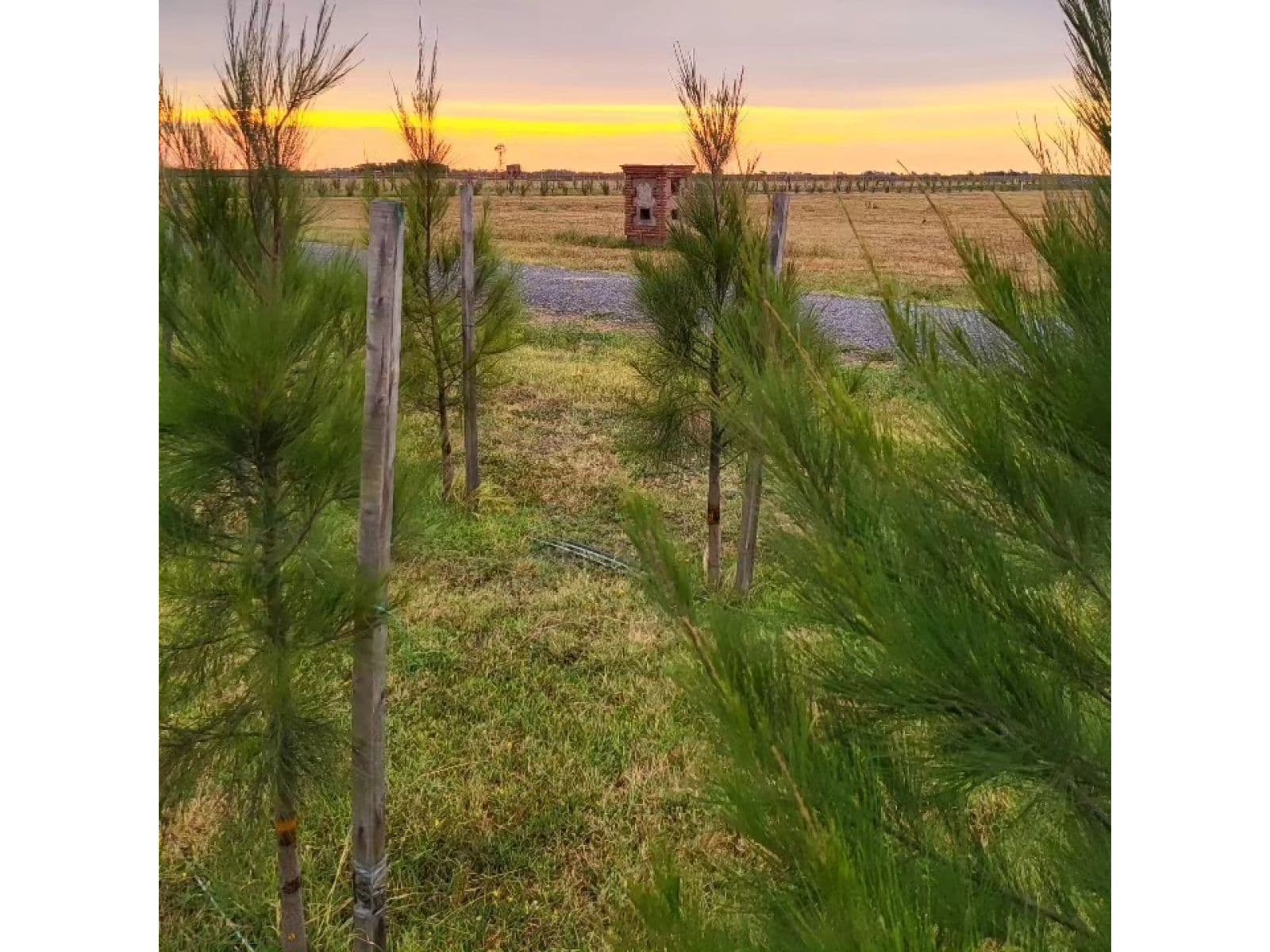 LOTES EN VENTA EN B° PRIVADO DE CHACRAS PAMPA DE SAN VICENTE DE 2500 a 5000 m2 - 1