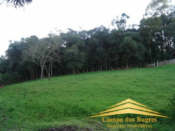Terreno Flores da Cunha - 1