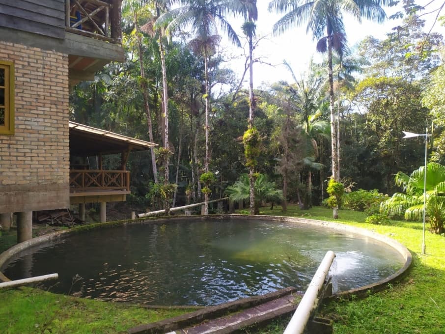 Sítio - Venda - Guabiruba - SC - Lageado Alto - 1