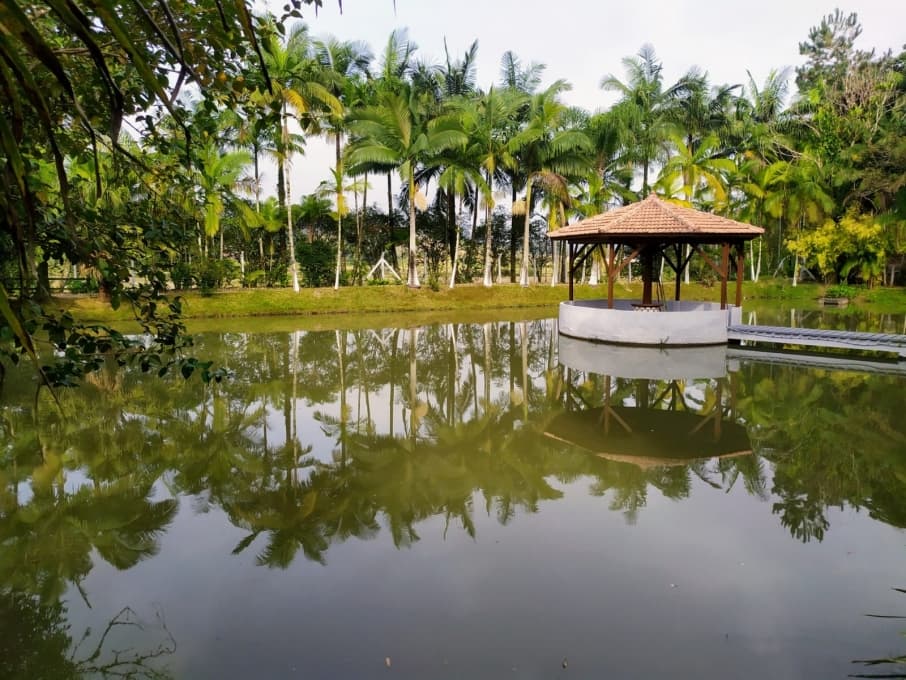 Sítio - Venda - Guabiruba - SC - São Pedro - 1