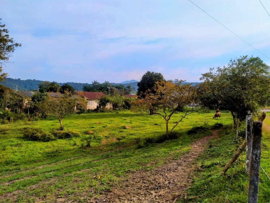 Terreno - Venda - Guabiruba - SC - São Pedro - 1