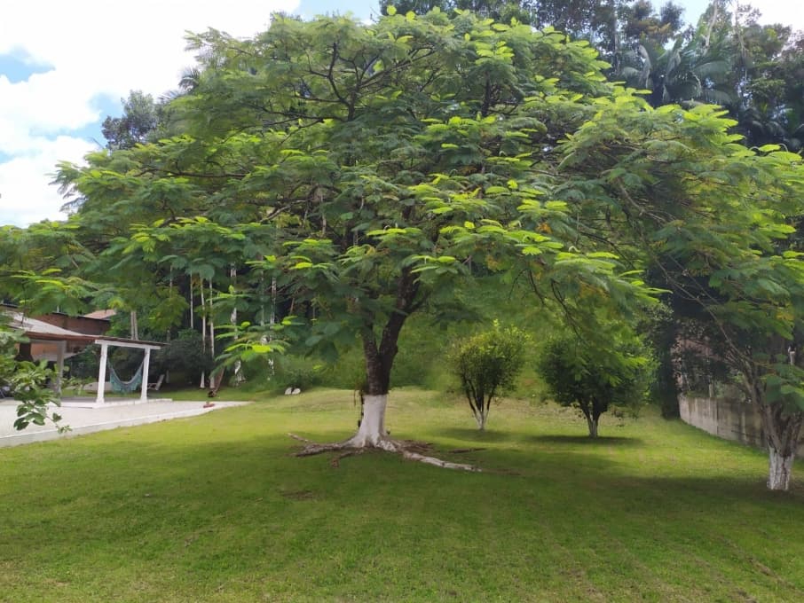 Chácara - Venda - Guabiruba - SC - Imigrante - 1